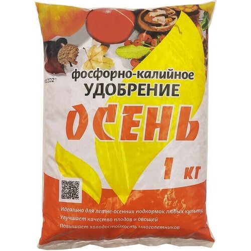 ������ ������ �������-��������� ��������� 1 �� 