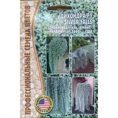 ������ ������ ������ �������� 