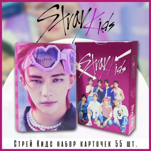 ������ ������ �������� Stray kids ���� �����