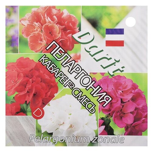 ������ ������ ������ Darit ���������� ������ F2 ����� 4 ��. ����