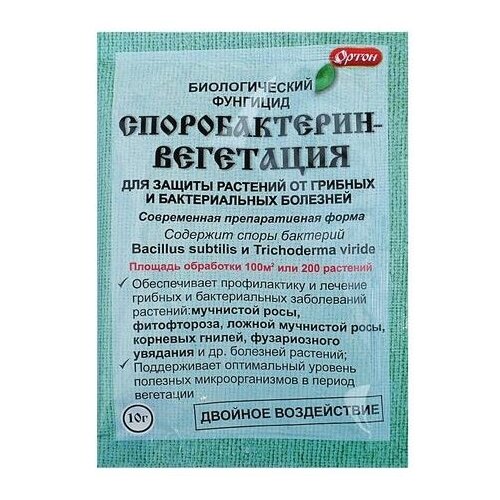 ������ ������ ����� ������������� �������� �������������-���������, 10 ��, 10 � ����