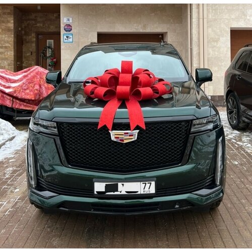 ������ ������ ������� ���� �� ���� ��� ��������� ������� ����