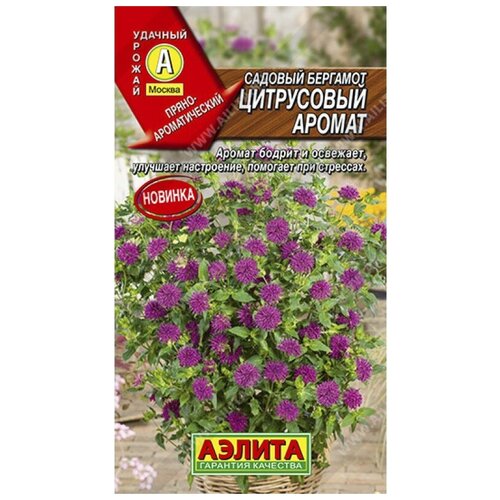 ������ ������ ������. ������� �������� 