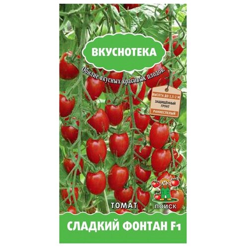 ������ ������ ������ ����� ���������� ����� ������� ������ F1 10 ��. ����