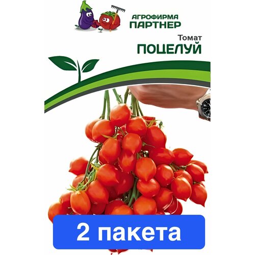 ������ ������ ������ ������ ��������� ������� 