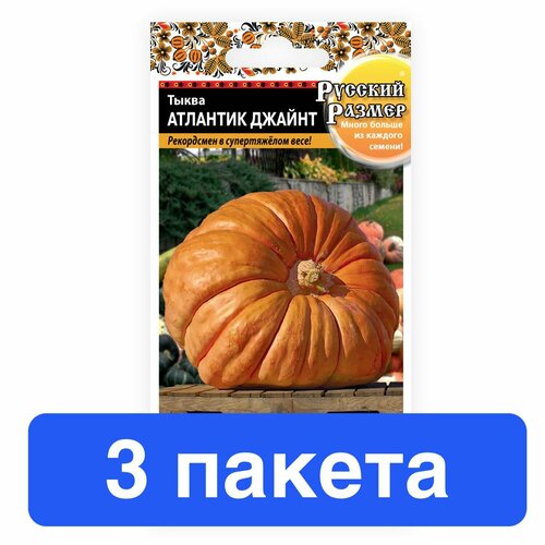 ������ ������ ������ ������ ������� ������ 