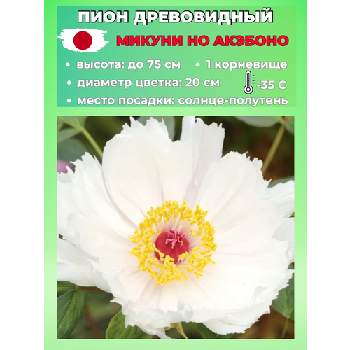 ������ ������ ���� ����������� ������ �� ��������, ������� 1 ����� ����