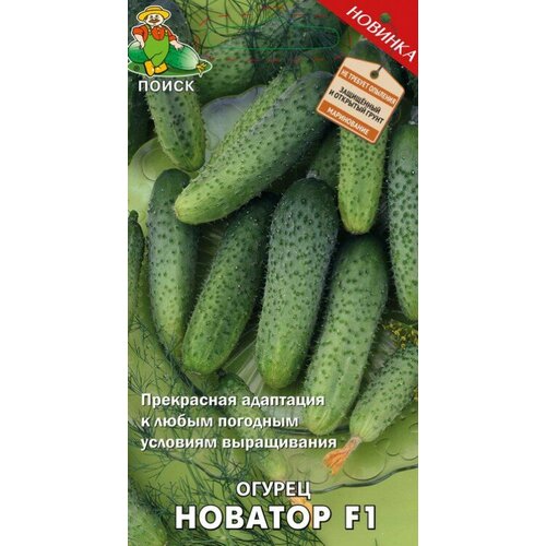 ������ ������ ������ ������ ������� F1 12�� ������������������ ������ (�����) ����