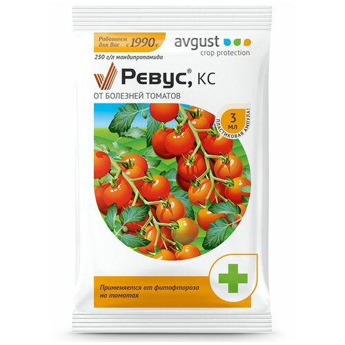 ������ ������ Avgust �������� �� �������� ������� �����, ��, 3 ��, 3 � ����