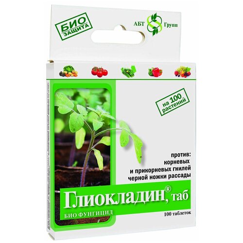 ������ ������ ����������������� �������� ��� ����������� ����� ����������, 24 � ����