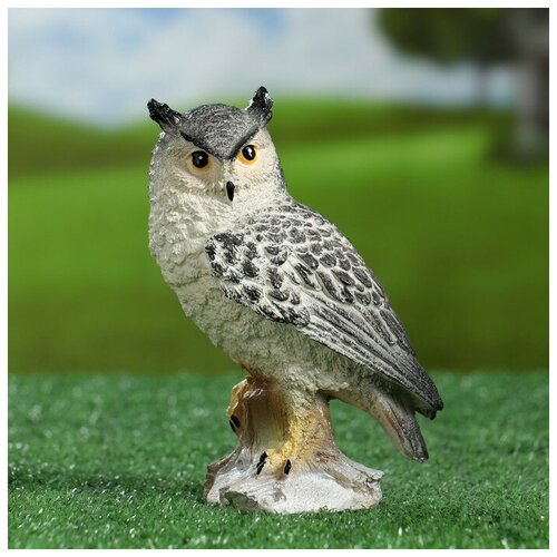 ������ ������ ������� ������ 