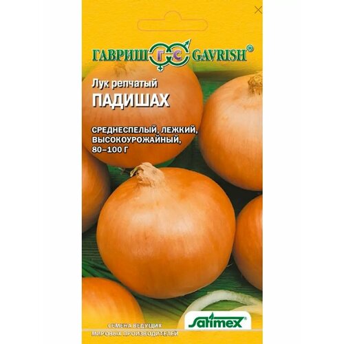 ������ ������ ��� 