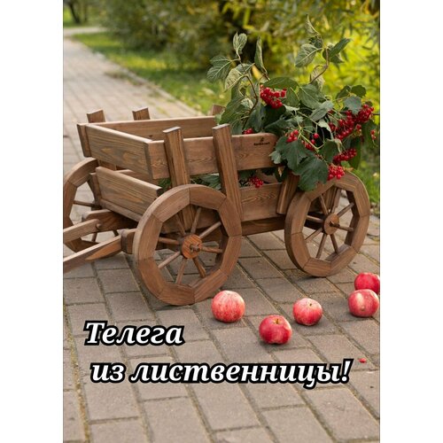 ������ ������ ������������ ������ ��� ���� �� ����������� ����