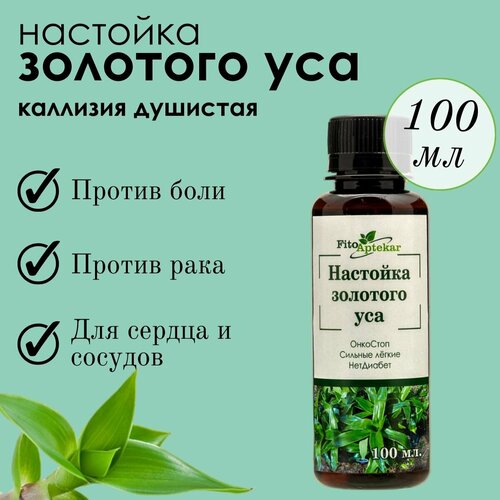 ������ ������ �������� �������� ��� 