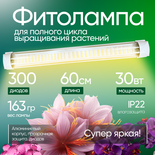 ������ ������ ��������� ������ ������, 30��, 60��, ����� ����� ����, ������ ���� ����������� �������� ����