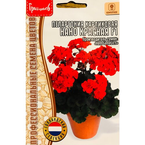 ������ ������ ������ ���������� ���������� 