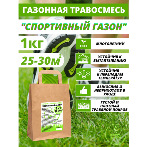 ������ ������ �������� �����, ������ ������ 1 �� ����