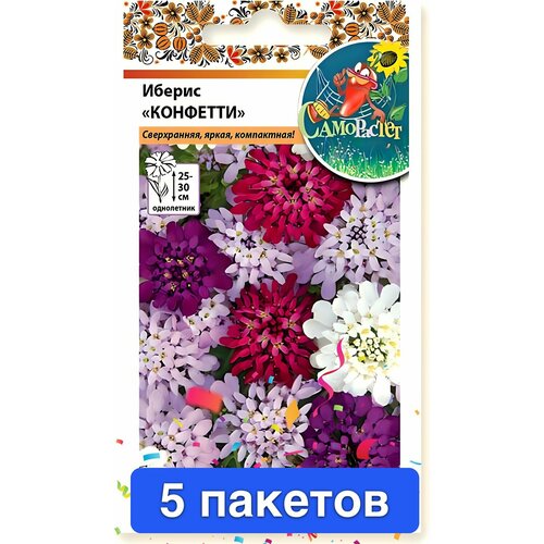 ������ ������ ����� ������ ������ �������� 5 ������� ����