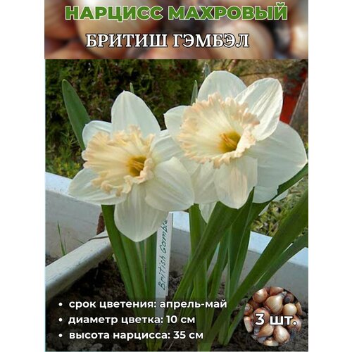 ������ ������ ������� ��������. �������� 3 ����� ����