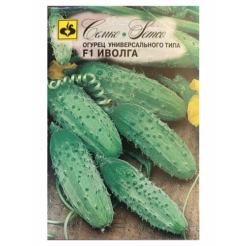 ������ ������ ������ ������ ������ F1 5�� ������������������ ������ (�����) ����