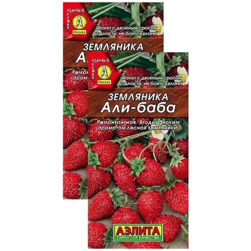 ������ ������ ��������� ���-���� (0,04 �), 2 ������ ����