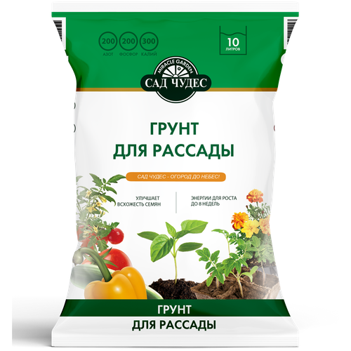 ������ ������ ����� ��� ����� ��� ������� 10 �. ����