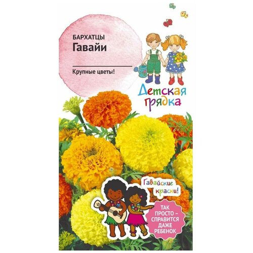 ������ ������ ������ �������� ������� ������ ������ �� 0,3 � ����