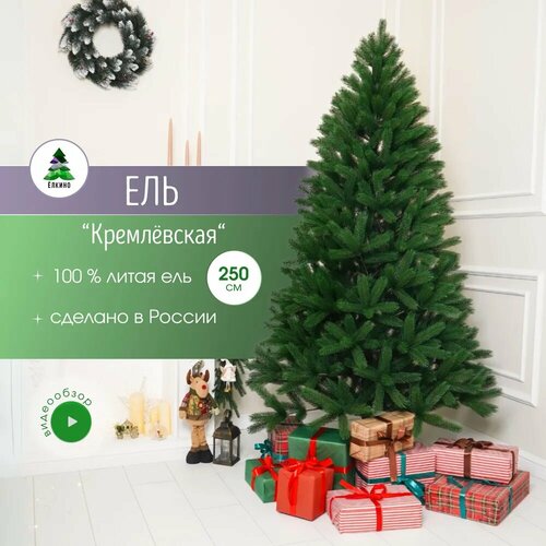 ������ ������ ������������� ���� 