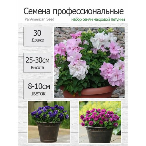 ������ ������ ������� �������� ����� ���� ������, ����� 3 ����� ����