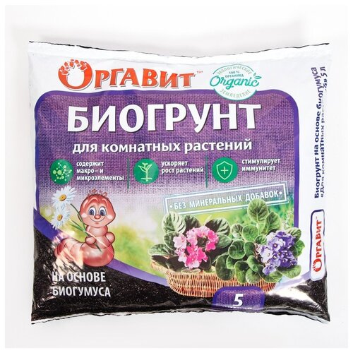 ������ ������ ����� ������� �� ������ ��������� ��� ��������� ��������, 5 �, 2.4 �� ����