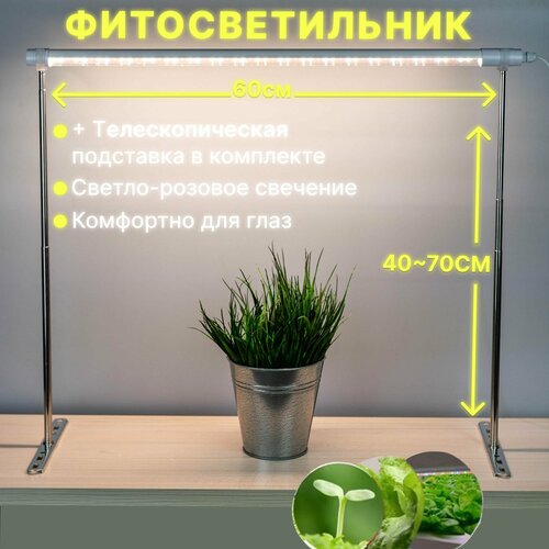 ������ ������ ��������� ��� �������� � ������� ������� �������, �������� �������������� � ���������� � ���������, ������-������� �������� ����