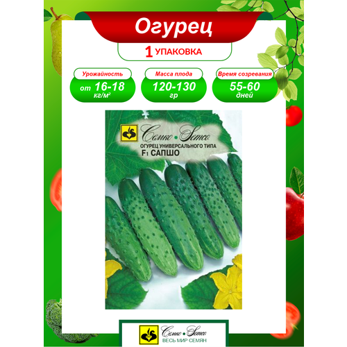 ������ ������ ������ ������ ����� F1 ������������ 5 ��./��. ����