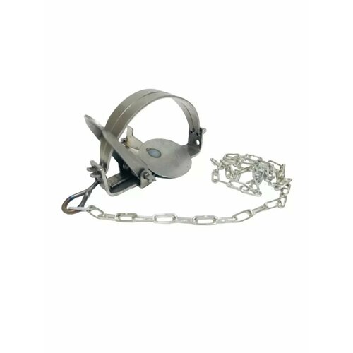 ������ ������ ������ 