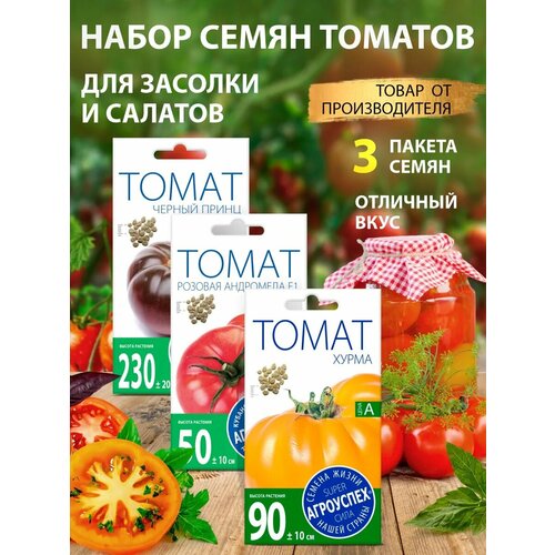 ������ ������ ������ ������� ������� ������ ������ ����