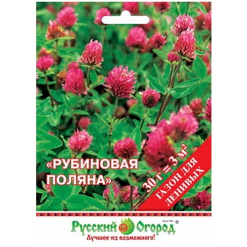 ������ ������ ������. ����� 