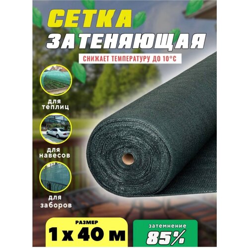 ������ ������ ����� ���������� �������, ��������� 85%, ������ 1�40� ����