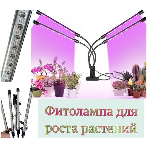       .   .   LED    , 4    -     , -,   