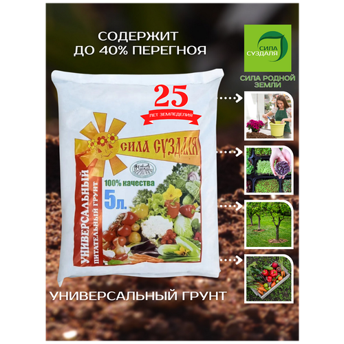 ������ ������ ����� ���� ������� �������������, 5 �, 3 �� ����