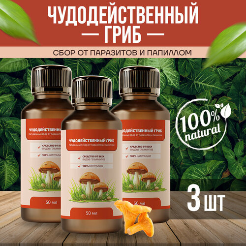 ������ ������ ��������������� ���� �� ��������� � �������� ������ 50 �� 3�� ����