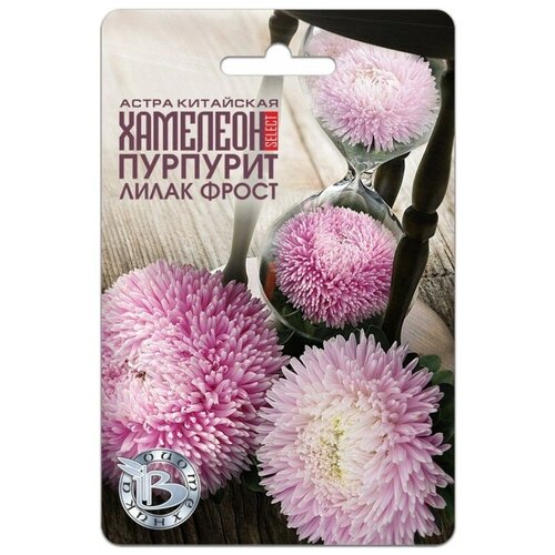 ������ ������ ������ ����� ��������� �������� SELECT �������� ����� �����