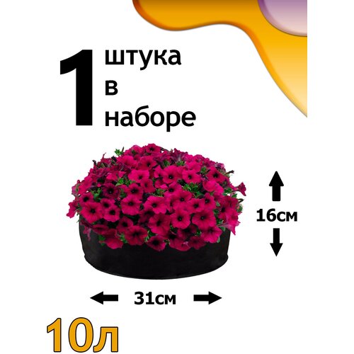 ������ ������ ������ ���� 10� - 1�� ����