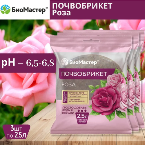 ������ ������ �������� ����������� 