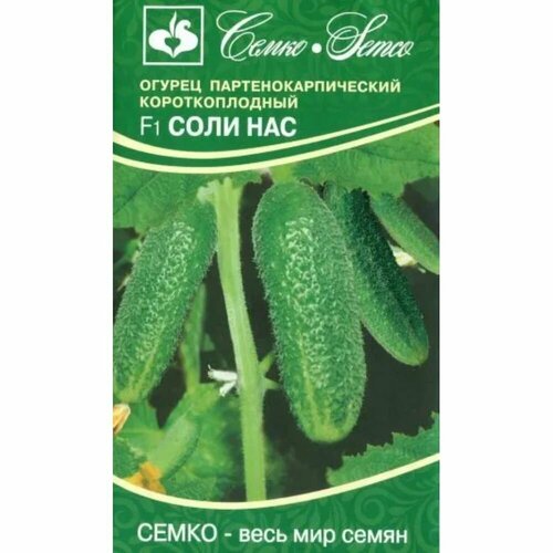 ������ ������ ������ ���� ��� F1 ����