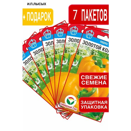 ������ ������ ������ ����� ������� ������� ����