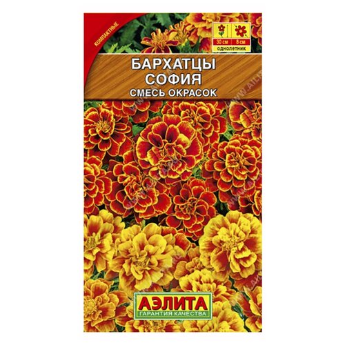 ������ ������ ������ �������� ����������� 