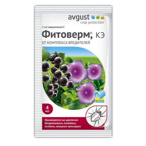 ������ ������ �������� ������ �� ��������� ���������� ��� ����, �������� (������ 4 ��) ����