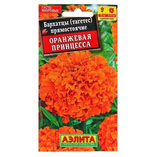 ������ ������ ������ ������ �������� 