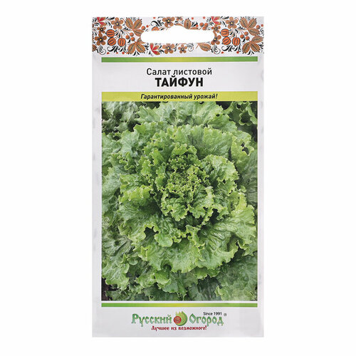 ������ ������ ������ ����� ������ �������� 1� (������� ������) ����