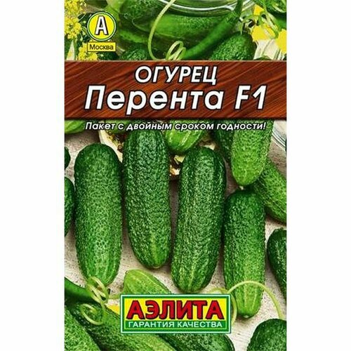 ������ ������ ������ ������ ������� F1 ��, ������������, (������) 10�� ����