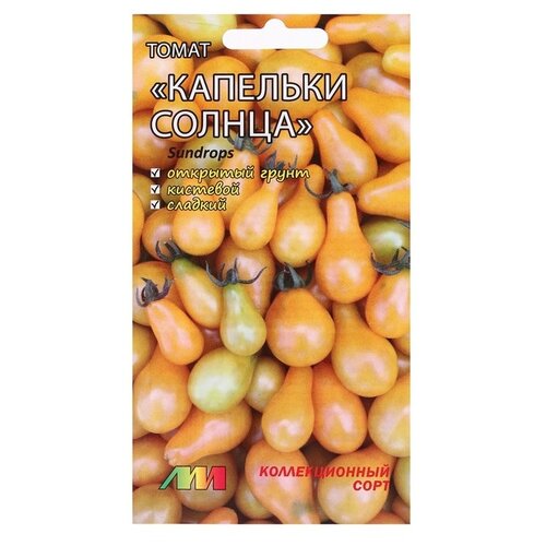 ������ ������ ������ ������ �.�. �������� ������ �����, 5 ��. ����